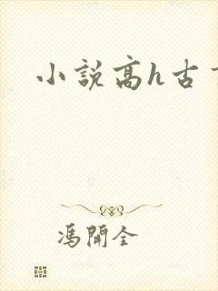 小说高h古言