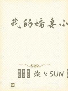 我的娇妻小说封面