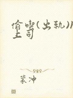 偷吃(出轨)h上司