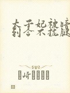 太子妃被暗卫C到合不拢腿