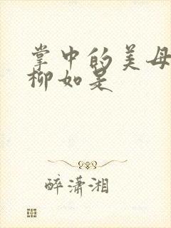 掌中的美母版主柳如是封面