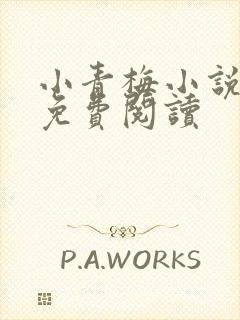 小青梅小说全文免费阅读