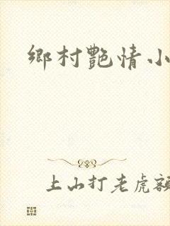 乡村艳情小说封面