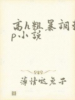 高h粗暴调教np小说封面