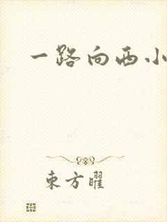 一路向西小说封面