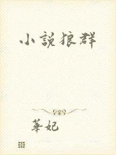 小说狼群