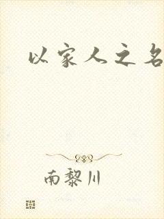 以家人之名小说