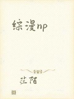 综漫np