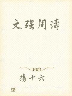 文强周涛封面