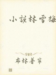 小说林雪梅