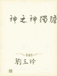 神之神独胆王封面