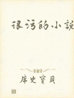 很污的小说封面