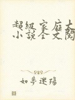 超级家庭大杂烩小说全文阅读