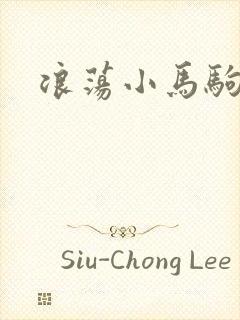 浪荡小马驹封面