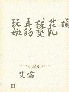 玩弄校花硕大白嫩的双乳