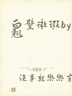 白璧微瑕by连翘封面