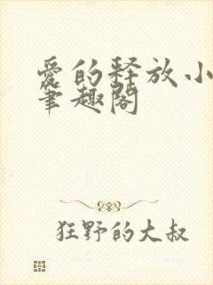 爱的释放小说 笔趣阁