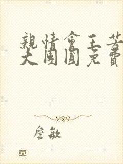 亲情会王芳高敏大团圆免费阅读封面