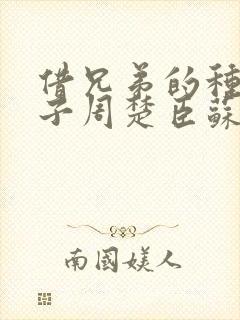 借兄弟的种生孩子周楚臣苏糖