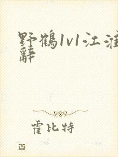 野鹤1v1江淮辞封面