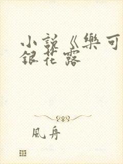 小说《乐可》金银花露封面