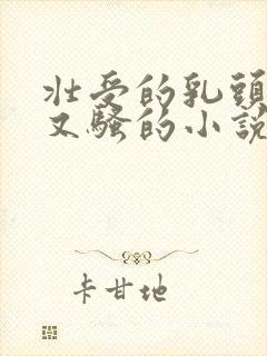 壮受的乳头又大又骚的小说