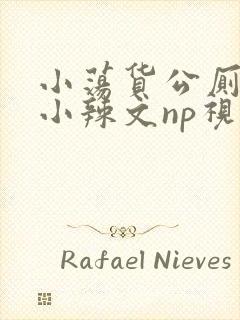 小荡货公厕h文小辣文np视频