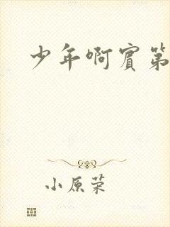 少年啊宾第二部