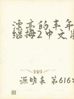 漂亮的丰年经的继拇2中文版