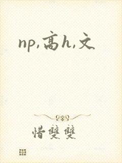 np,高h,文