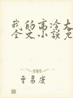 我的高冷大小姐全文小说免费阅读封面