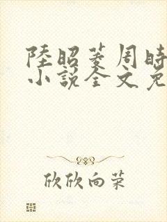 陆昭菱周时阅的小说全文免费阅读封面