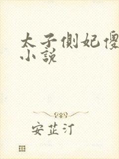 太子侧妃傻乎乎小说