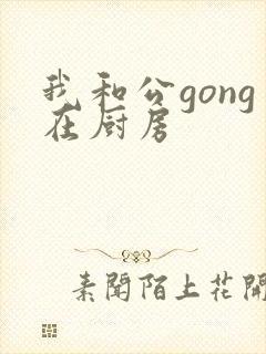 我和公gong在厨房封面