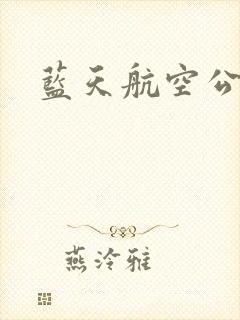 蓝天航空公司封面