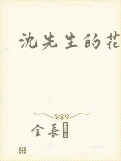 沈先生的花式调