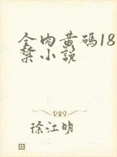 全肉黄码18无禁小说