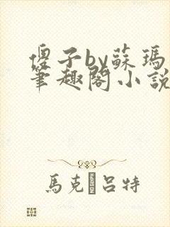 傻子by苏玛丽笔趣阁小说封面