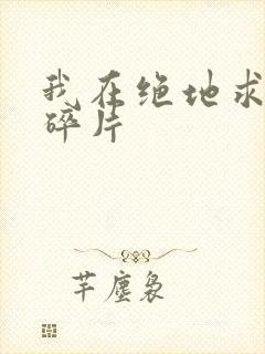 我在绝地求生捡碎片封面