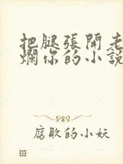 把腿张开老子臊烂你的小说