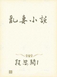 乱妻小说