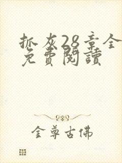 抓灰28章全部免费阅读封面