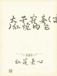 太子宠妾(高肉)红烧肉包