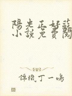 阳光正好苏玥玥小说免费阅读无弹窗