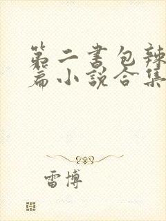 第二书包辣网短篇小说合集