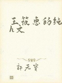 王筱惠的纯肉高h文