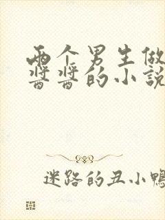 两个男生做酿酿酱酱的小说