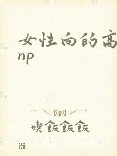 女性向的高h文np
