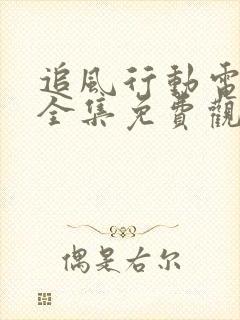 追风行动电视剧全集免费观看