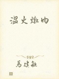 温火炖肉